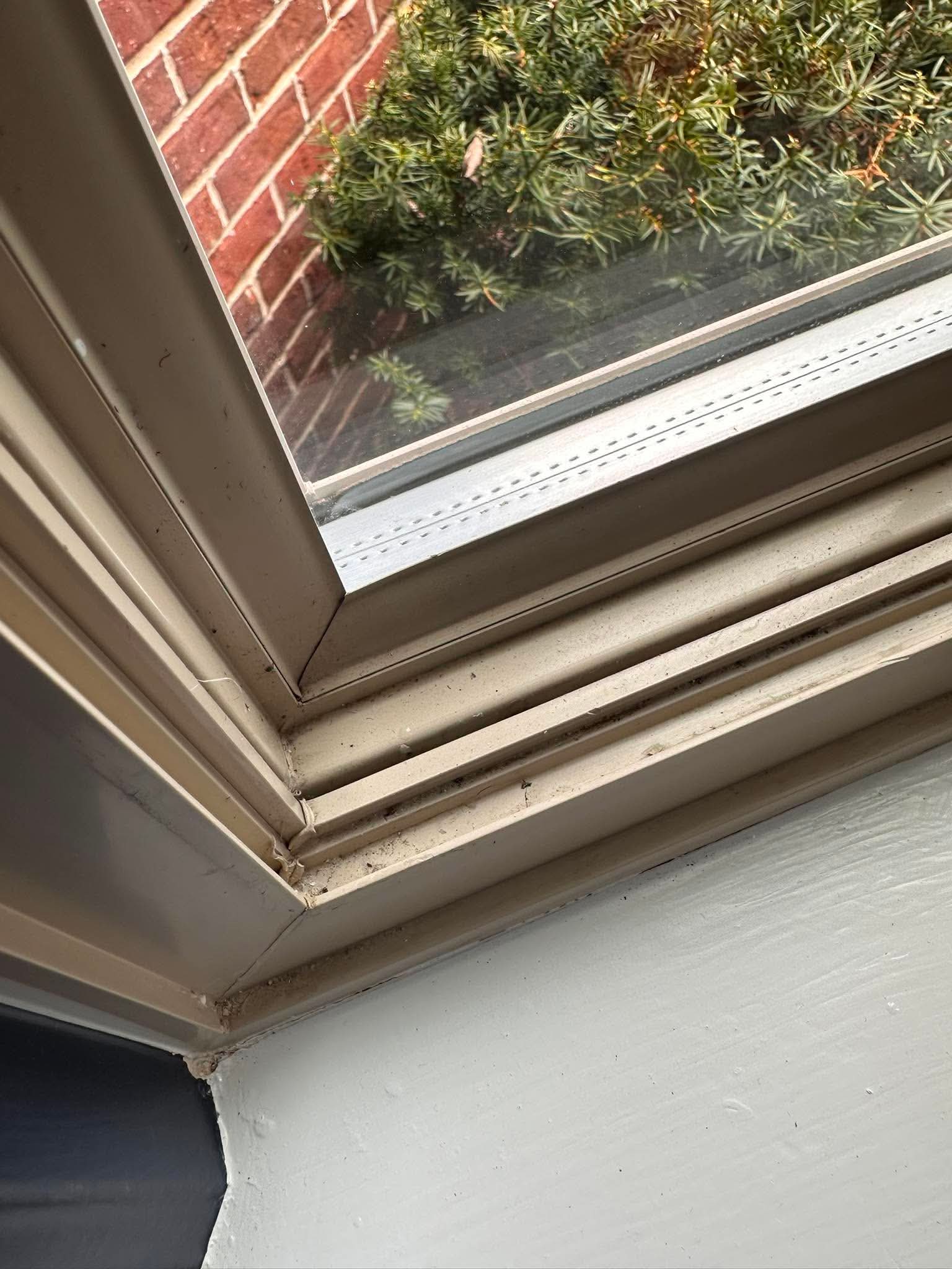 Windows before cleaning